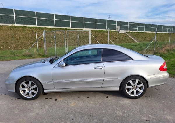 Mercedes-Benz CLK cena 18500 przebieg: 256500, rok produkcji 2004 z Lubin małe 106